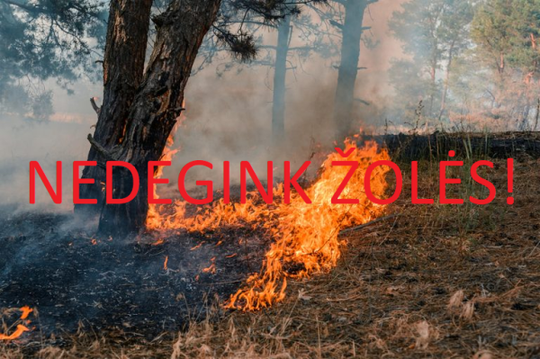 Priešgaisrinės gelbėjimo tarnybos pareigūnai Anykščių rajone rengia reidus „Nedegink žolės“