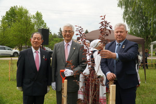Japonų iniciatyva gausėja Kurklių sakurų parkas