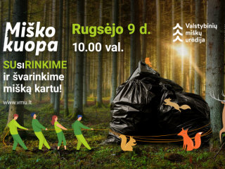 Miškininkai kviečia susiburti į tradicinę miškų švarinimo talką – rugsėjo 9 d. visoje Lietuvoje...