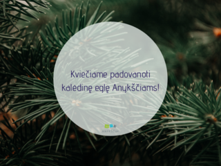 Kviečiame padovanoti kalėdinę eglę Anykščiams!