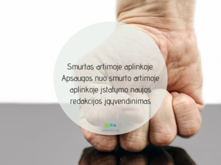 Smurtas artimoje aplinkoje. Apsaugos nuo smurto artimoje aplinkoje įstatymo naujos redakcijos...