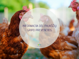 INFORMACIJA DĖL PAUKŠČIŲ GRIPO PREVENCIJOS