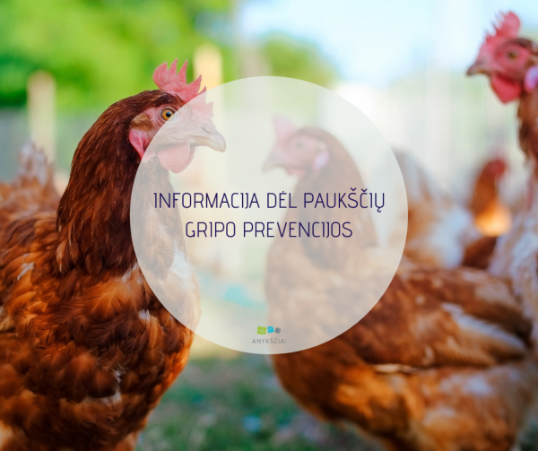 INFORMACIJA DĖL PAUKŠČIŲ GRIPO PREVENCIJOS