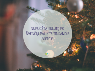 NUPUOŠTĄ EGLUTĘ PO ŠVENČIŲ PALIKITE TINKAMOJE VIETOJE