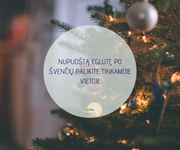 NUPUOŠTĄ EGLUTĘ PO ŠVENČIŲ PALIKITE TINKAMOJE VIETOJE