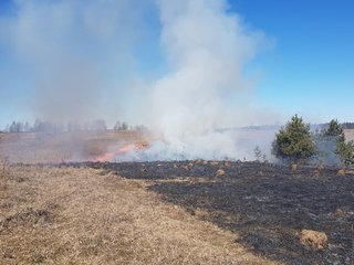 Žolės deginimo prevencija: ką svarbu padaryti šiandien?