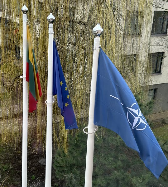 LIETUVA MINI NARYSTĖS NATO 20-METĮ