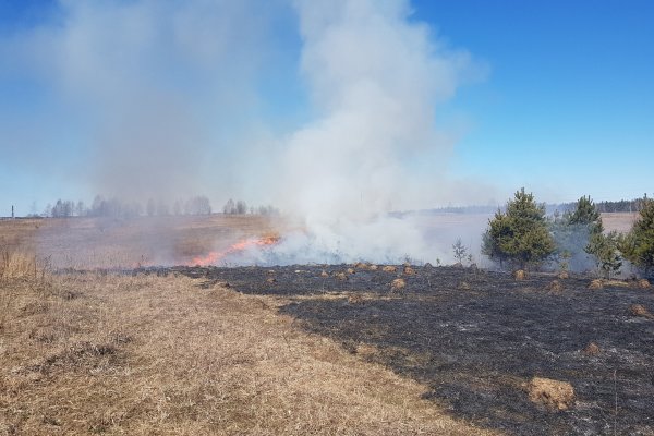Žolės deginimo prevencija: ką svarbu padaryti šiandien?