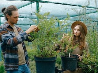Parama jauniesiems ūkininkams – geriausia investicija