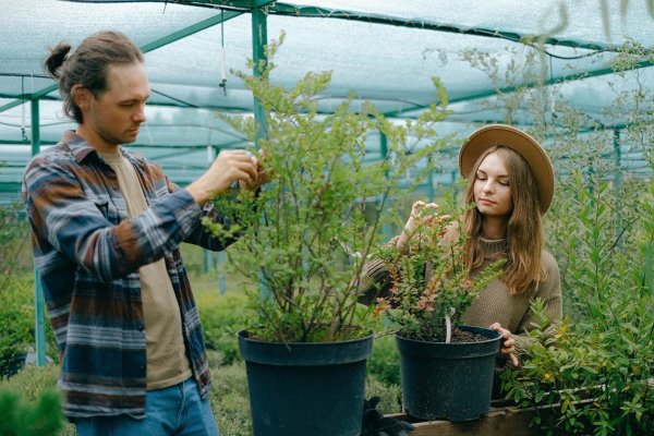 Parama jauniesiems ūkininkams – geriausia investicija