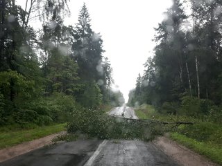 Tebesitęsia audringi orai!