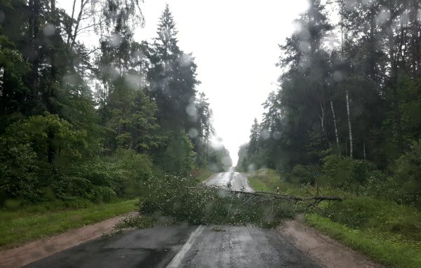 Tebesitęsia audringi orai!