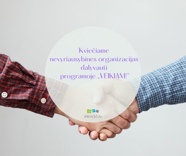 Kviečiame nevyriausybines organizacijas dalyvauti programoje „VEIKIAM!”