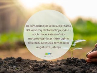 Rekomendacijos ūkio subjektams dėl veiksmų ekstremaliojo įvykio – stichinio ar katastrofinio...