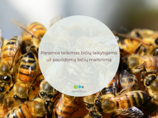 Paramos teikimas bičių laikytojams už papildomą bičių maitinimą