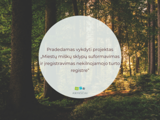 Pradedamas vykdyti projektas „Miestų miškų sklypų suformavimas ir įregistravimas nekilnojamojo...