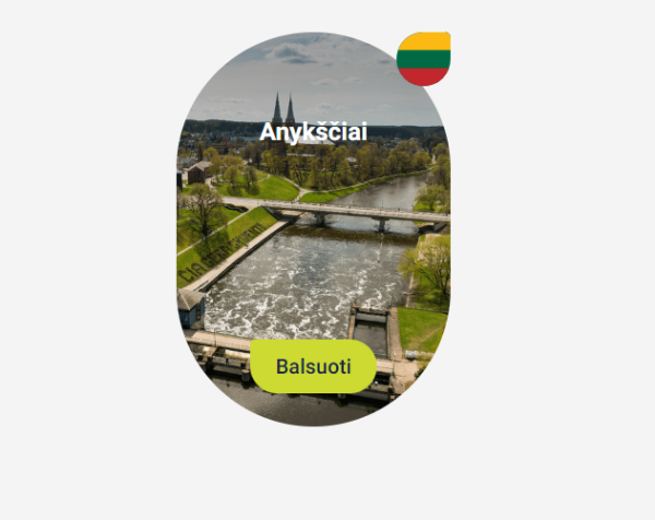 Lėktuvas su užrašu „Anykščiai“ (balsavimas)