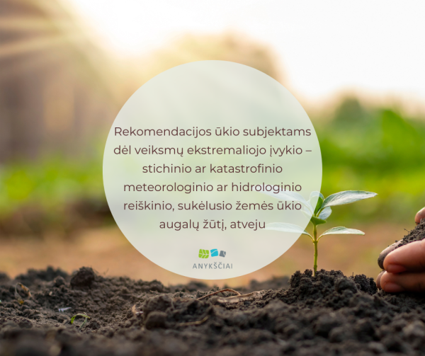 Rekomendacijos ūkio subjektams dėl veiksmų ekstremaliojo įvykio – stichinio ar katastrofinio...