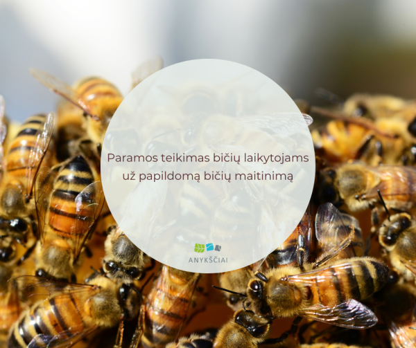 Paramos teikimas bičių laikytojams už papildomą bičių maitinimą