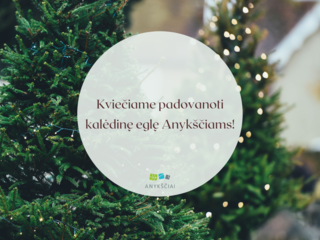 Kviečiame padovanoti kalėdinę eglę Anykščiams!