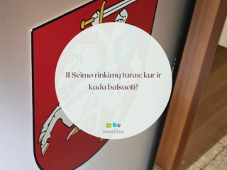 II Seimo rinkimų turas: kur ir kada balsuoti?