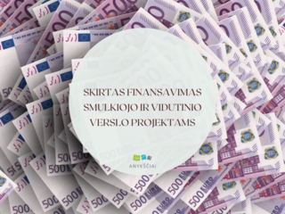SKIRTAS FINANSAVIMAS SMULKIOJO IR VIDUTINIO VERSLO PROJEKTAMS
