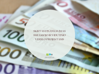 SKIRTAS FINANSAVIMAS SMULKIOJO IR VIDUTINIO VERSLO PROJEKTAMS