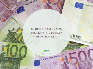 SKIRTAS FINANSAVIMAS SMULKIOJO IR VIDUTINIO VERSLO PROJEKTAMS