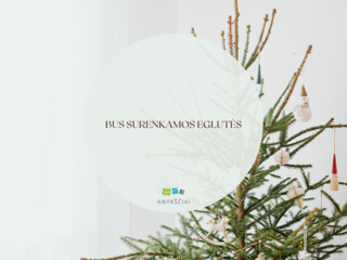 Bus surenkamos eglutės