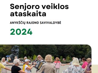 VšĮ Nacionalinio socialinės integracijos instituto veiklos ataskaita už 2024 m. Anykščių rajono...