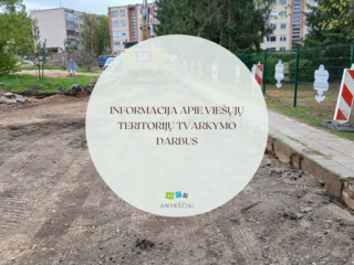 INFORMACIJA APIE VIEŠŲJŲ TERITORIJŲ TVARKYMO DARBUS