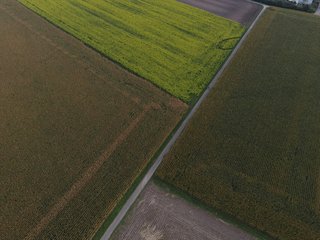 Žemės ūkio naudmenų deklaravimas 2026 m.: kas naujo?