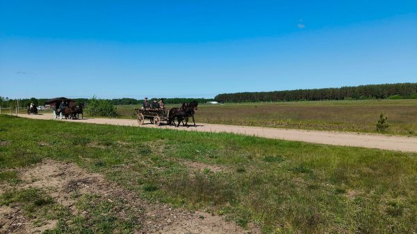 Prasideda unikali kelionė į šventę „Bėk bėk, žirgeli!“: nuo Valkininkų iki Niūronių – senoviniais...
