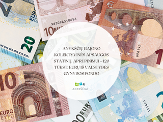 Anykščių rajono kolektyvinės apsaugos statinių aprūpinimui – 120 tūkst. eurų iš Valstybės gynybos...