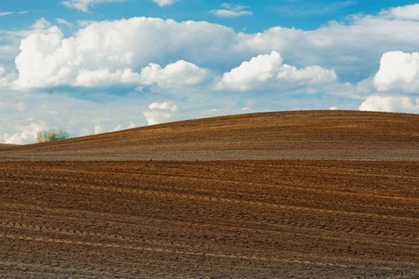 Rūgštiems dirvožemiams – valstybės parama: ūkininkai galės susigrąžinti iki 50 proc. kalkinimo...