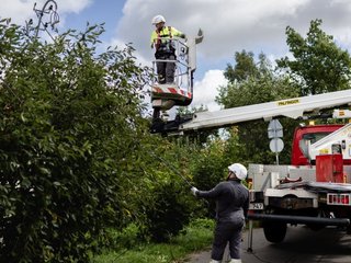 NAUJAUSIA INFORMACIJA APIE KOMPENSACIJAS: ESO mokės klientams kompensacijas, jeigu elektros dėl...