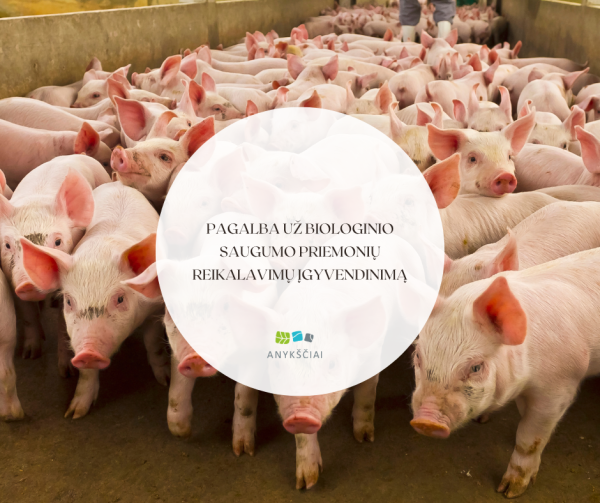 Pagalba už biologinio saugumo priemonių reikalavimų įgyvendinimą