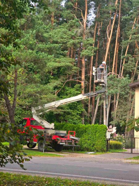 Svarbiausia informacija apie „Energijos skirstymo operatoriaus“ (ESO) išmokas gyventojams ir verslui